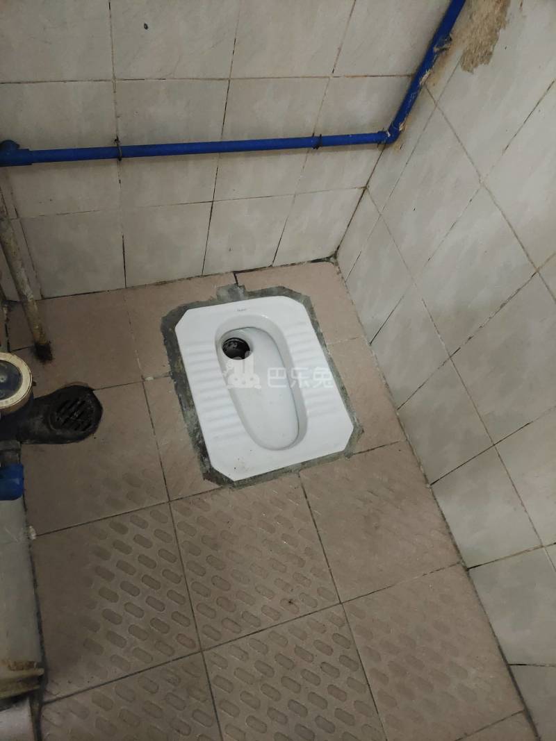 石牌村兰桂坊1号6393732卫生间图9