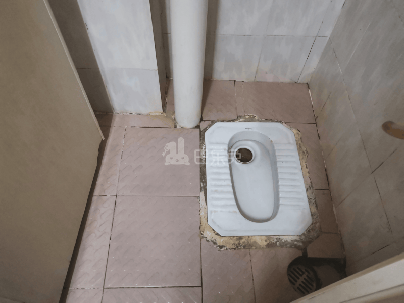 石牌村兰桂坊1号6393741卫生间图10