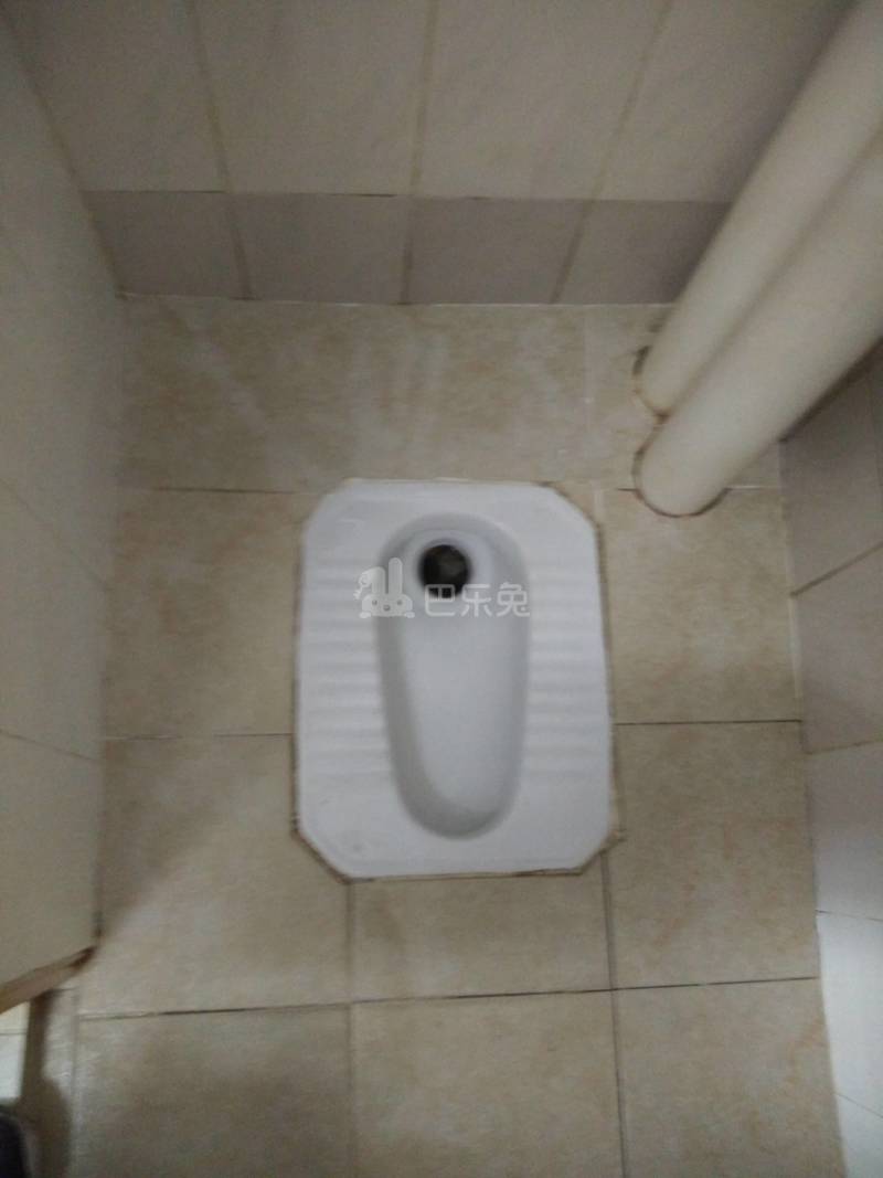 石牌村兰桂坊1号6393748卫生间图14