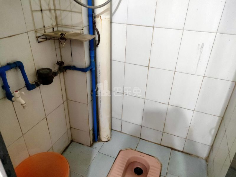 江夏村庙十七巷3号6410495卫生间图10