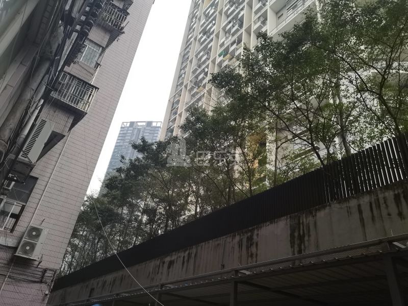 碧茵苑6418627周边环境图12