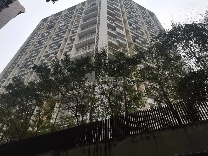 碧茵苑6418627周边环境图11