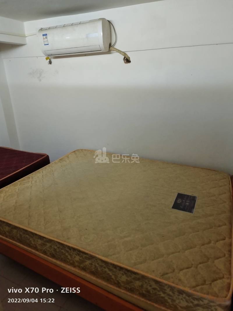 沙涌南村前大街九巷8号6428936卧室图0