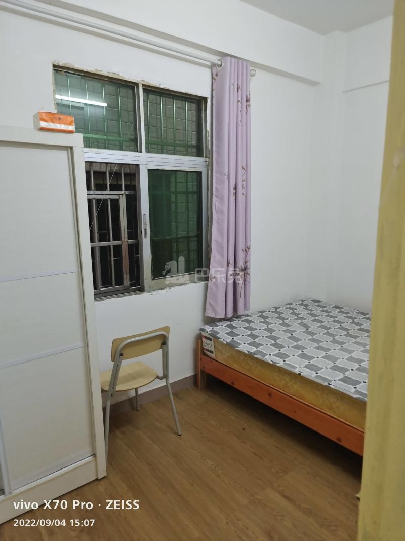 沙涌南村前大街九巷8号6428938卧室图1