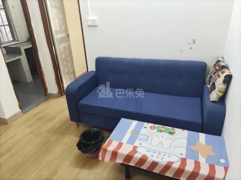 沙涌南村前大街九巷8号6428952客厅图4