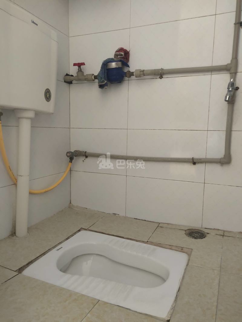 棠溪伦祥东街一巷14号6430420卫生间图4