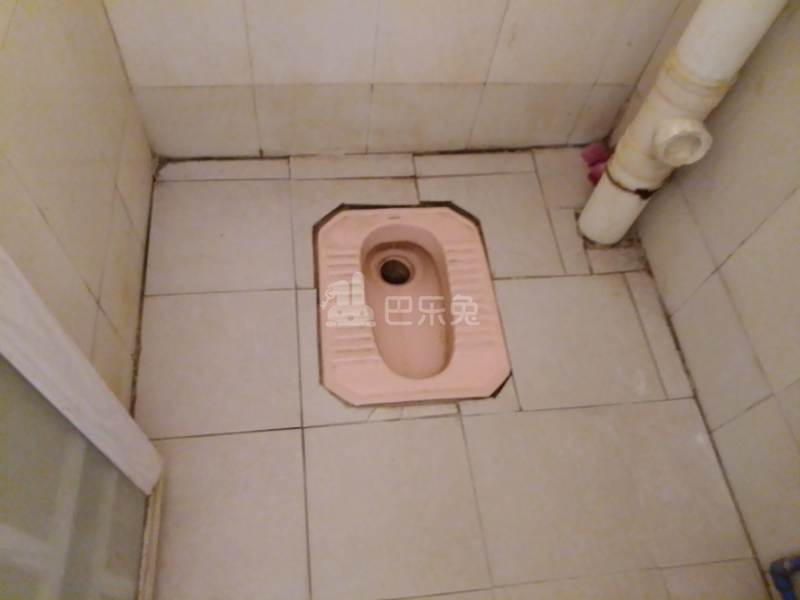 江夏村庙十巷4号6447319卫生间图5