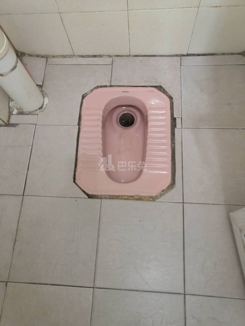 江夏村庙十巷4号6447326卫生间图13