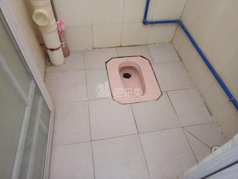 江夏村庙十巷4号6447327卫生间图6