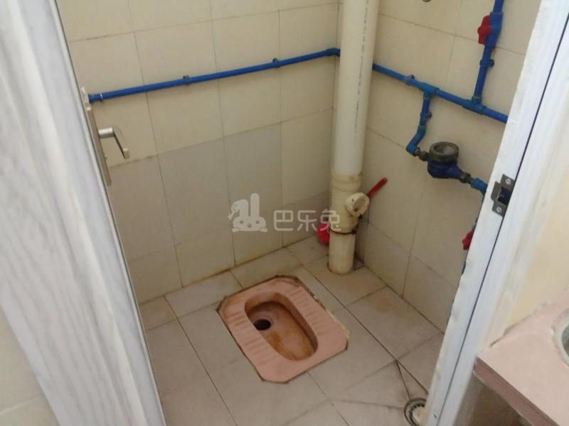 江夏村庙十巷4号6447329卫生间图4