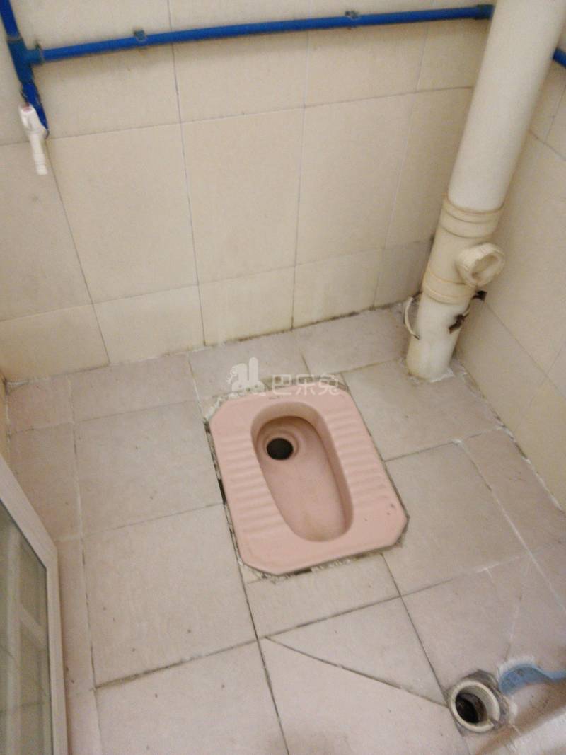 江夏村庙十巷4号6447339卫生间图4