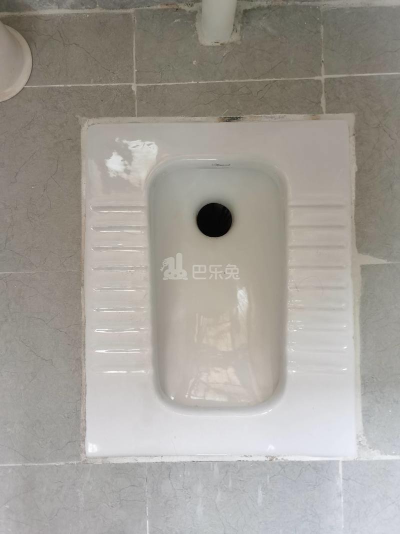 嘉禾望岗忠和街36号6450443卫生间图9