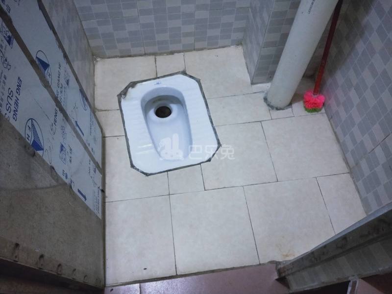 江夏大塘六巷10号6494609卫生间图18