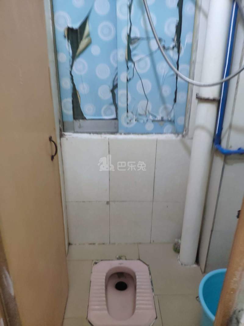 江夏村大塘六巷3号6498928卫生间图4