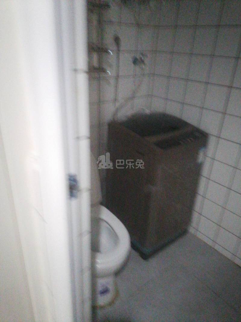 滨兴东苑9036115卫生间图8