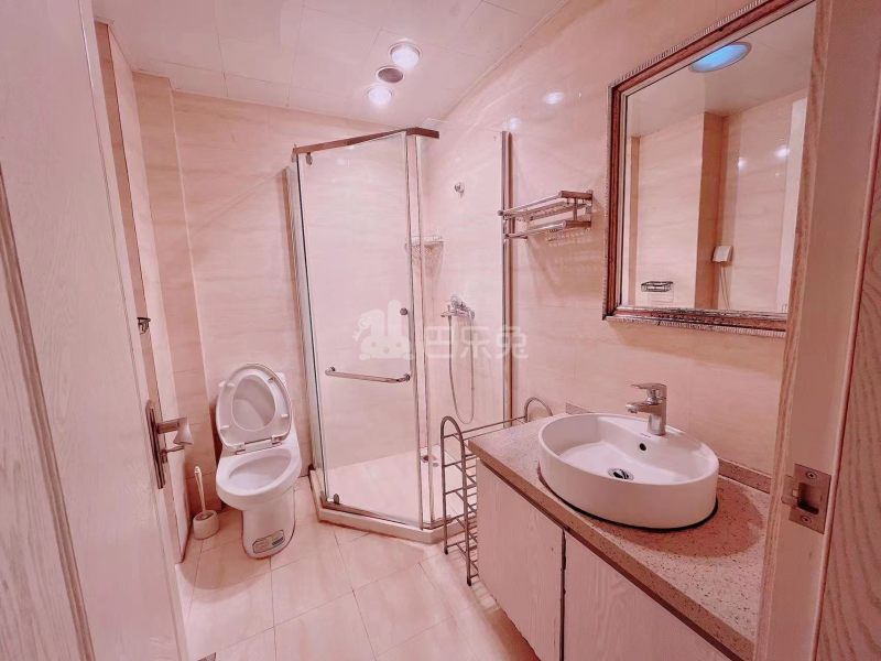 华彩国际公寓6527142周边环境图4