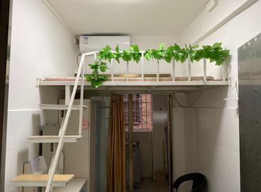 江夏村青龙大街五巷7号 