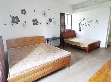 华彩国际公寓 1室2厅1卫