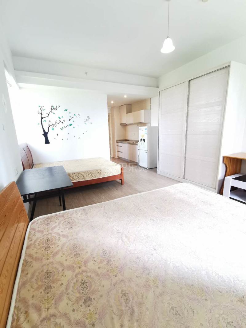 华彩国际公寓6527792周边环境图6