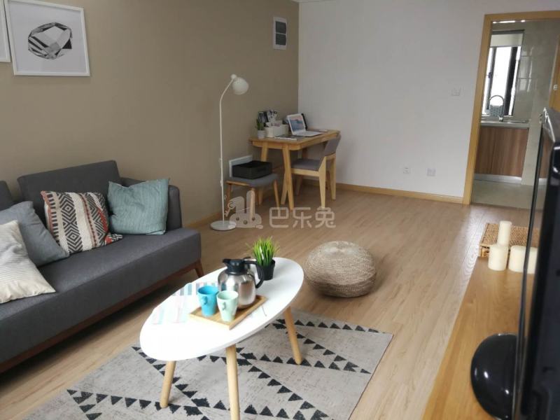 悦樘公寓华师大店6529250客厅图2