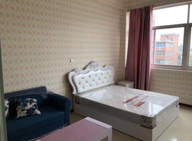 龙之心公寓振宁路店 1室0厅1卫