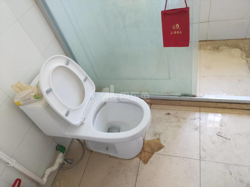 立跃路3800弄6547883卫生间图11