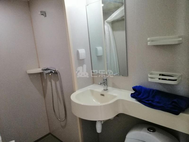 龙隐公寓（未来科技城店）6554961卫生间图4