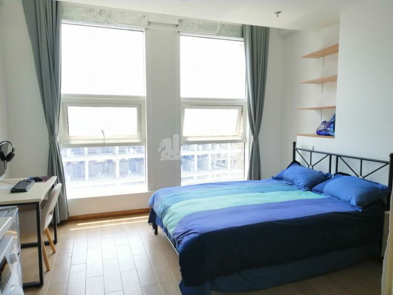 龙隐公寓（未来科技城店）6554961卧室图1