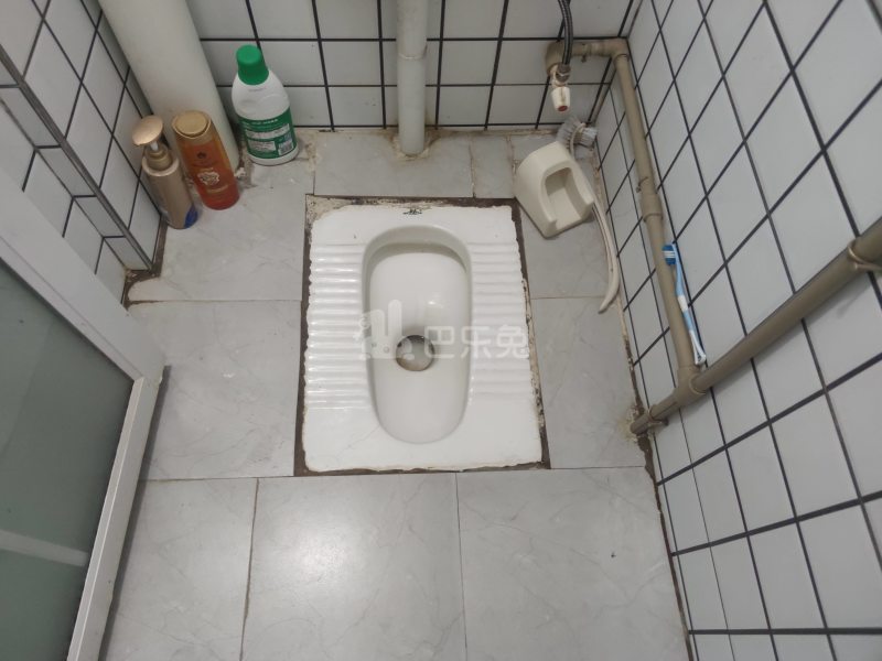 江夏村松猫岭七巷3号6563666卫生间图5