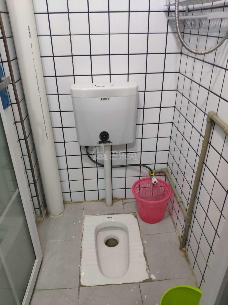 江夏村松猫岭七巷3号6563670卫生间图4
