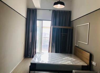 金地草莓社区（北软店） 1室1厅1卫