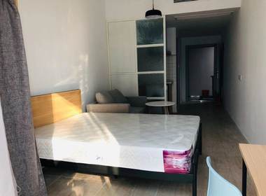 金地草莓社区（北软店） 1室1厅1卫