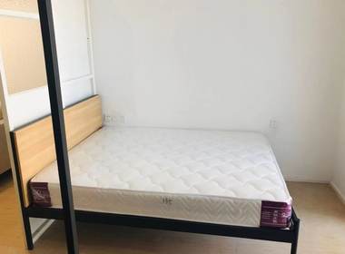 金地草莓社区（北软店） 1室1厅1卫