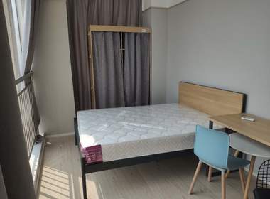 金地草莓社区（北软店） 1室0厅1卫