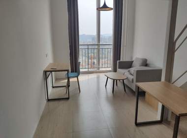 金地草莓社区（北软店） 1室1厅1卫