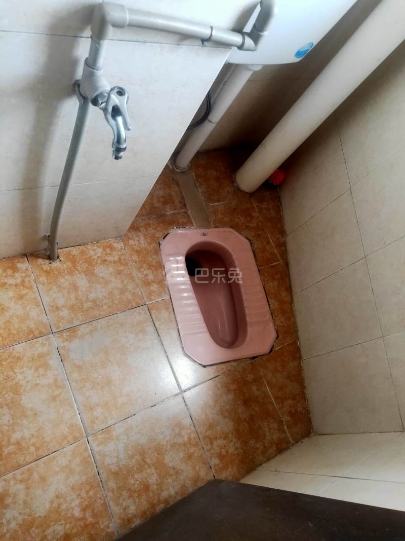 嘉禾望岗杨村园49号6585191卫生间图4