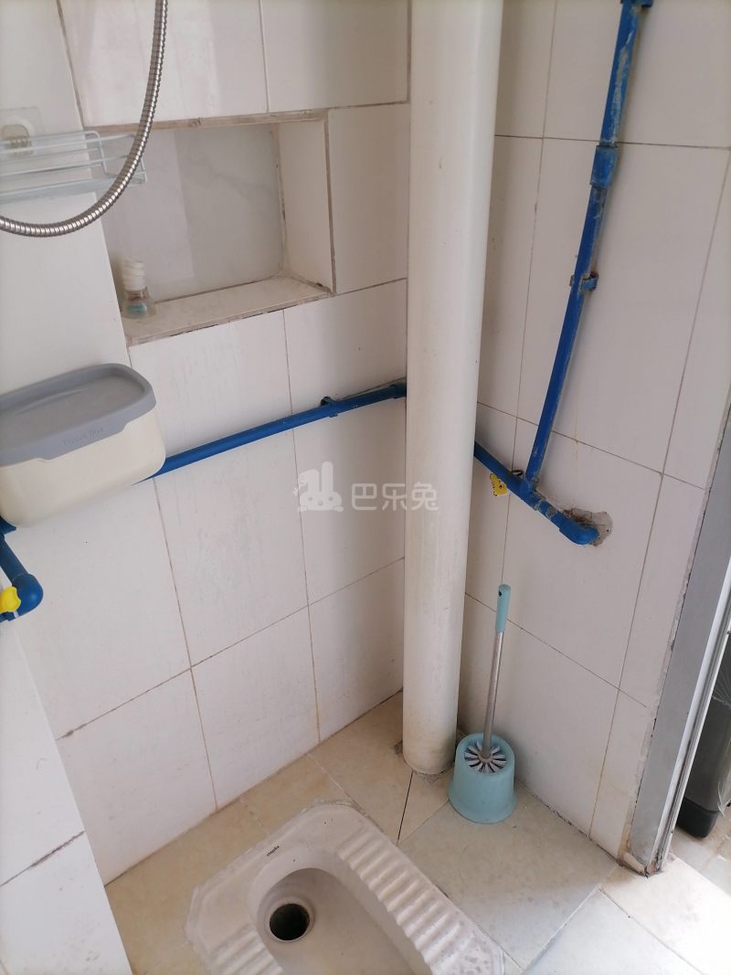 江夏大塘大街36号6588975卫生间图7