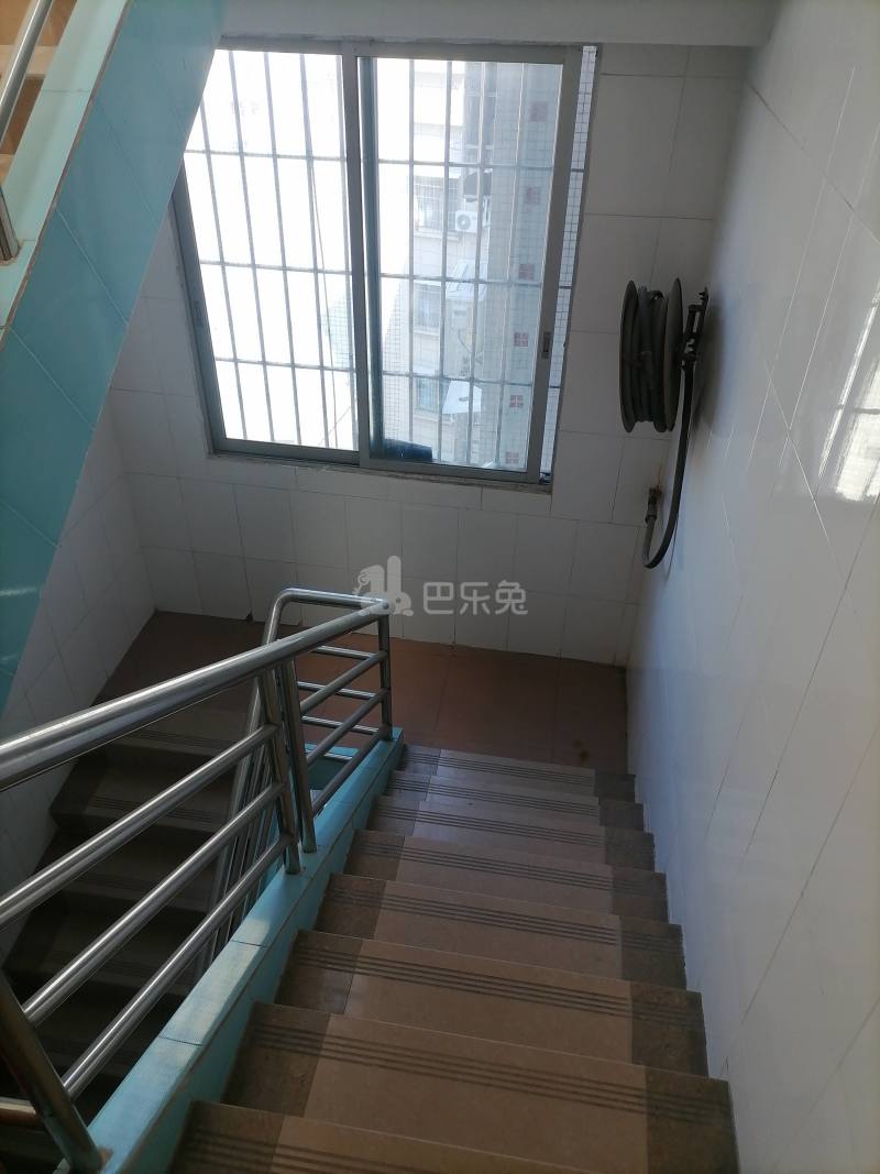 江夏大塘大街36号6588975周边环境图9