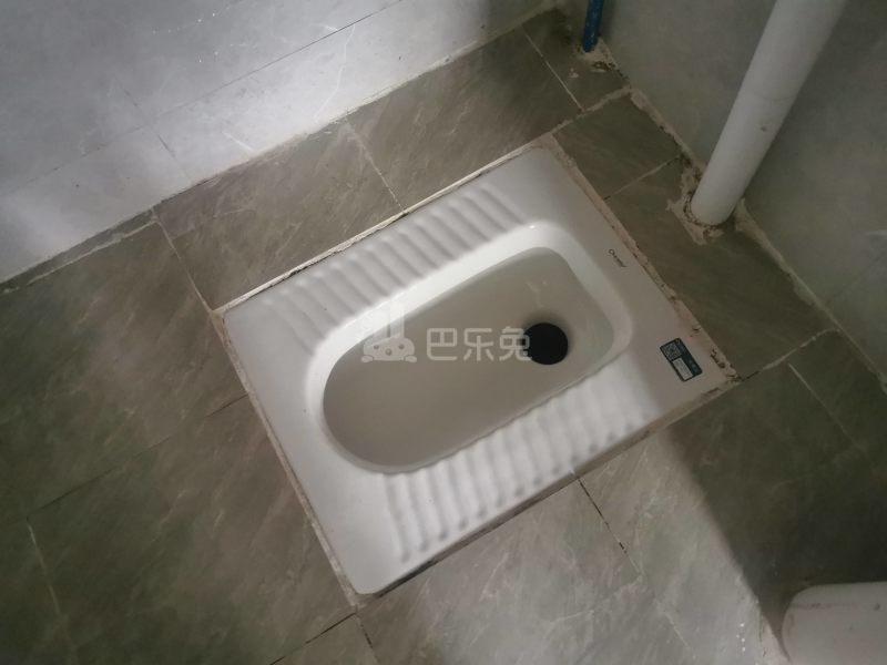 家园公寓（江夏北一路东二巷1号之一）6589077卫生间图15