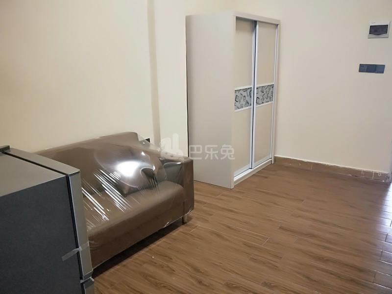 嘉禾新科下村街3号6598640客厅图4