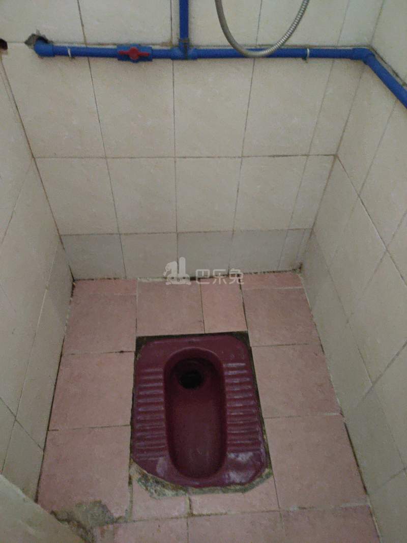 横滘大街27号6600970卫生间图6