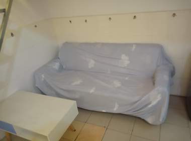 东圃龙步新村二巷10号 