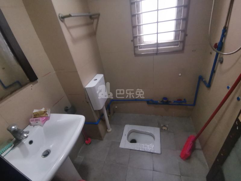 望岗大岭中街二巷18号6603597卫生间图10