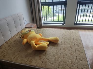 创伟科技园C座 1室1厅1卫