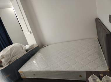 T5（员村隔公山7号） 