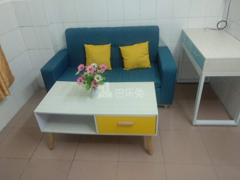 棠东毓桂大街一巷8号6643959客厅图4