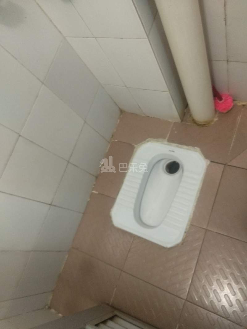 棠东毓桂大街一巷8号6643959卫生间图6