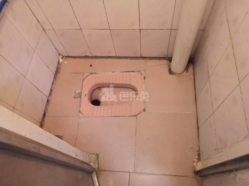 河水东直街18号6662969卫生间图2