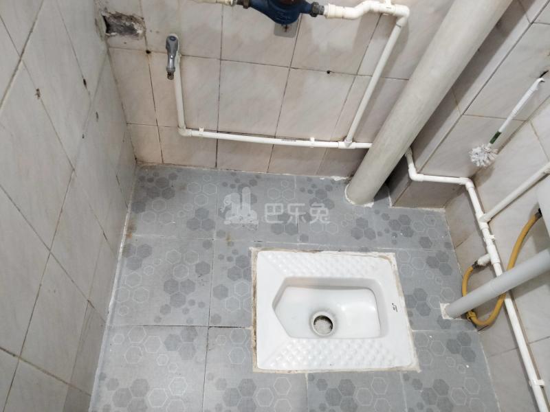 逸都青年公寓（儒林大街西巷2号）6683173卫生间图5