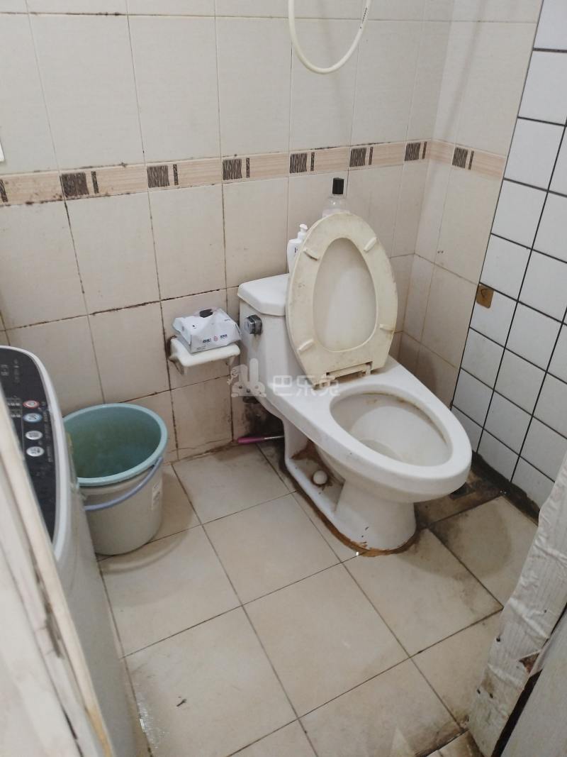 新上海弄里人家南区（涞亭南路382弄）6688126卫生间图13